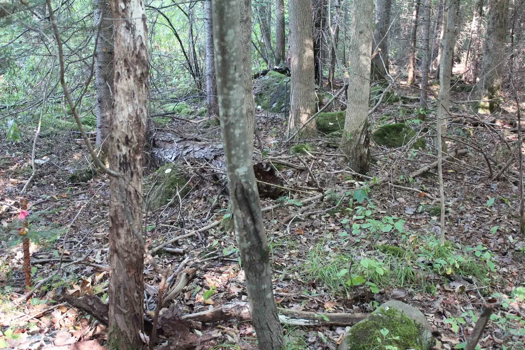 00 Miles Pond Road Concord VT 05824