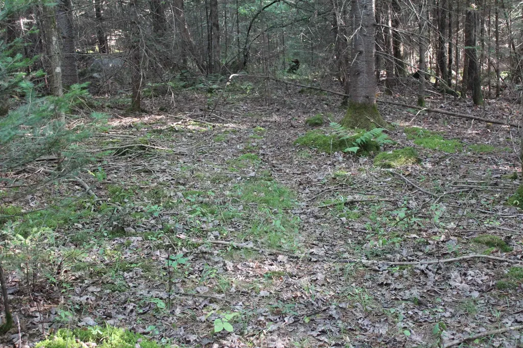 00 Miles Pond Road Concord VT 05824