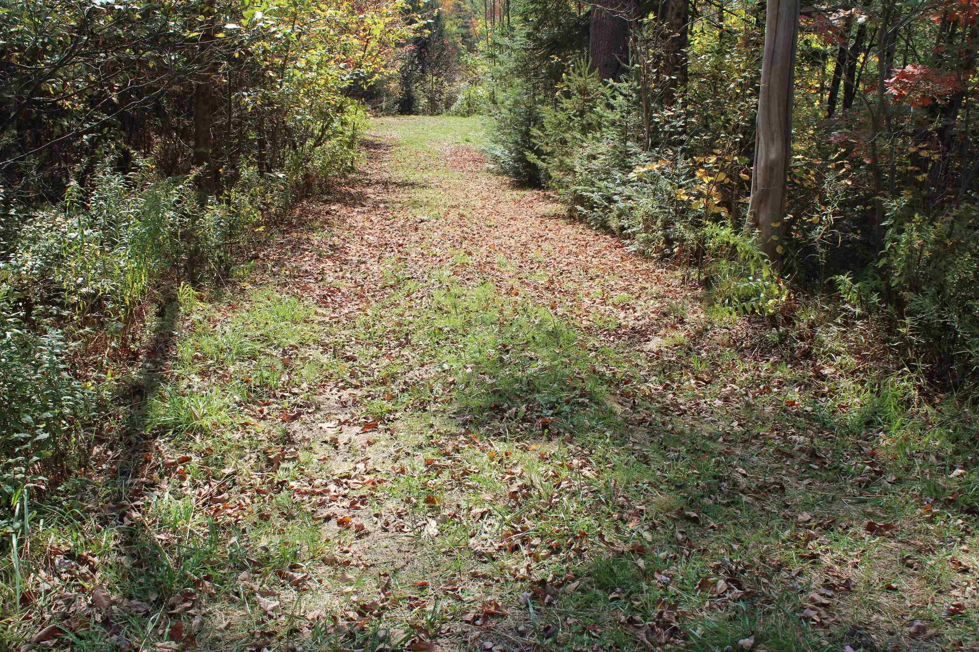 00 Miles Pond Road Concord VT 05824