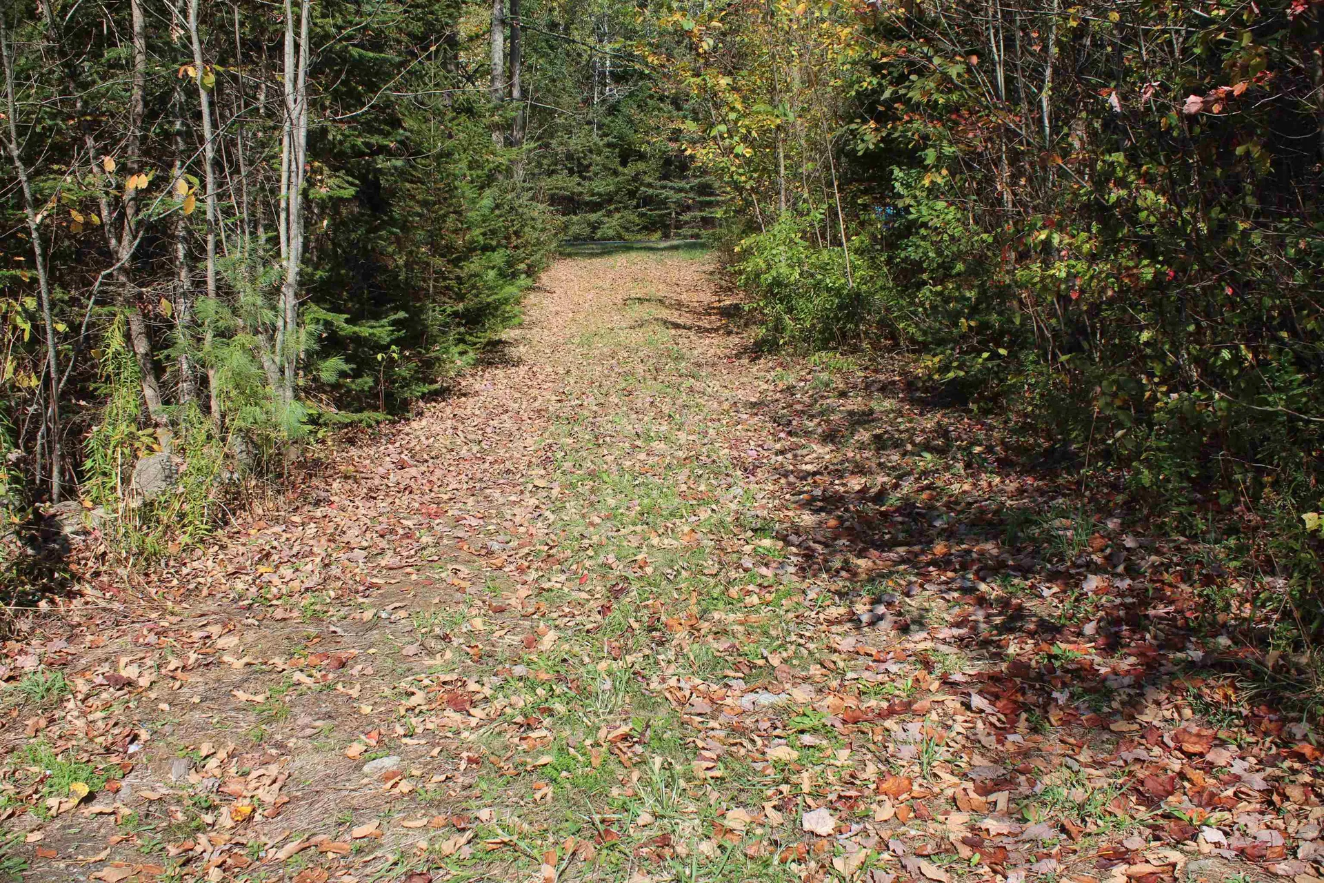 00 Miles Pond Road Concord VT 05824