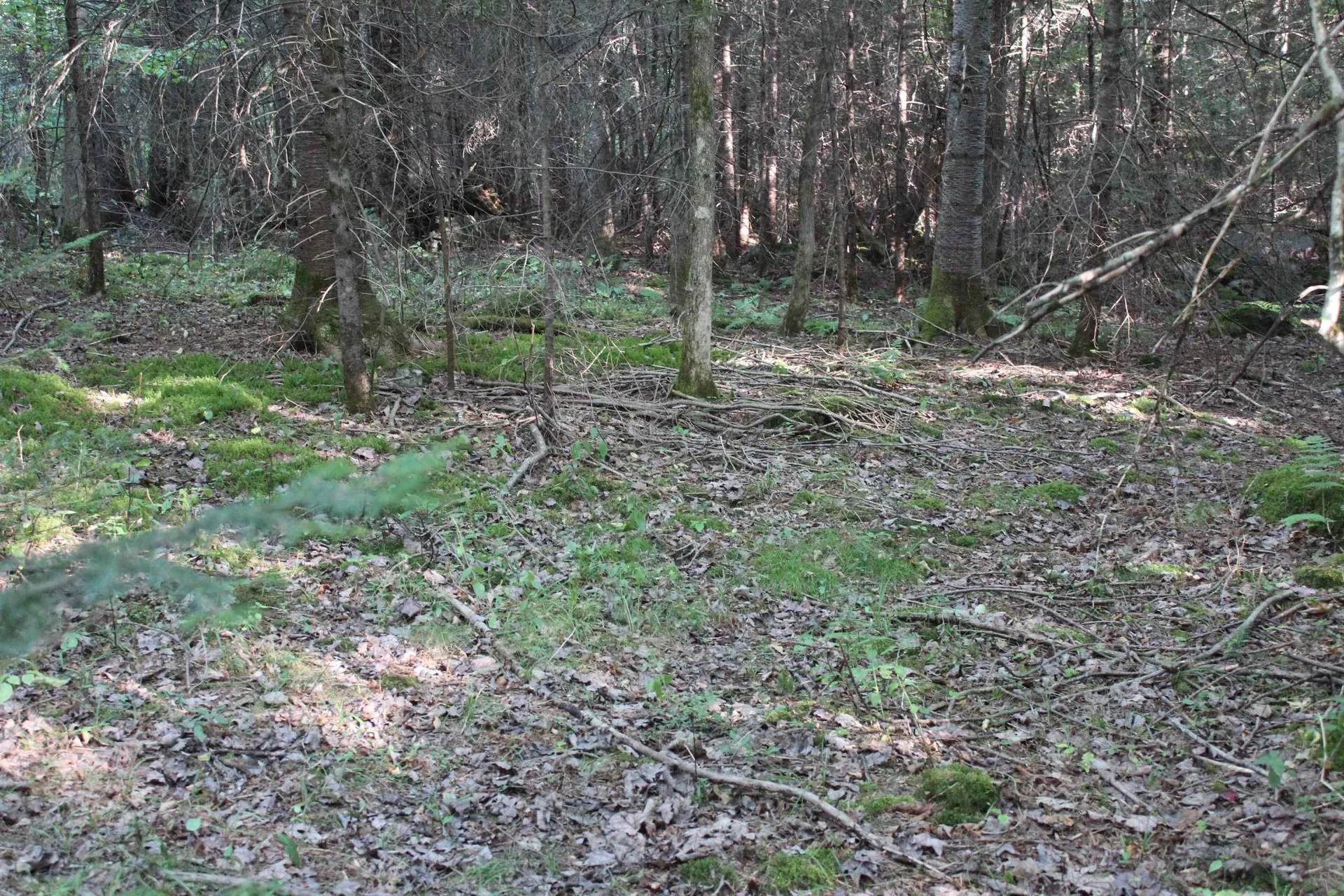 00 Miles Pond Road Concord VT 05824