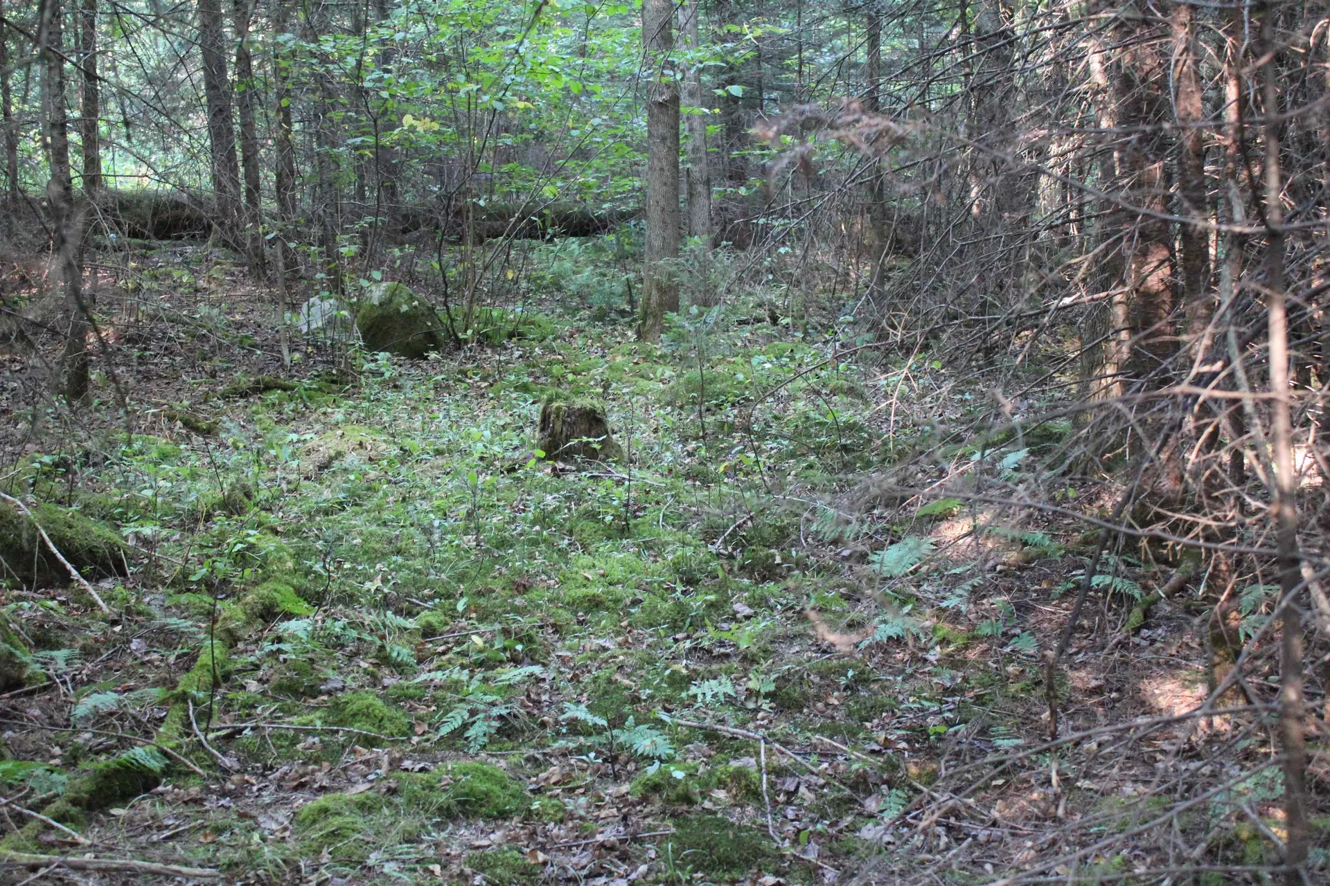 00 Miles Pond Road Concord VT 05824