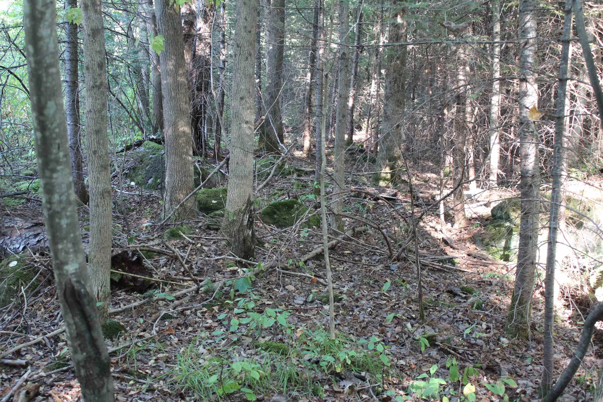 00 Miles Pond Road Concord VT 05824