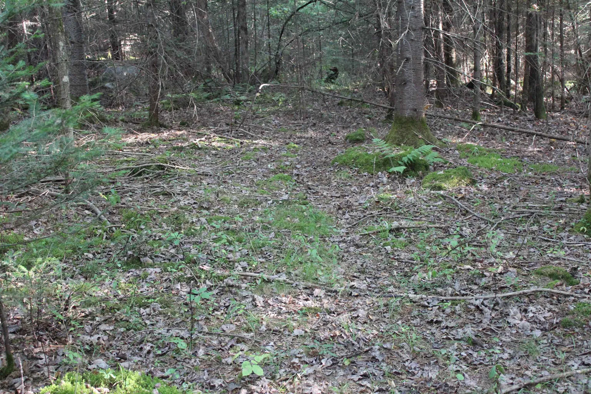 00 Miles Pond Road Concord VT 05824