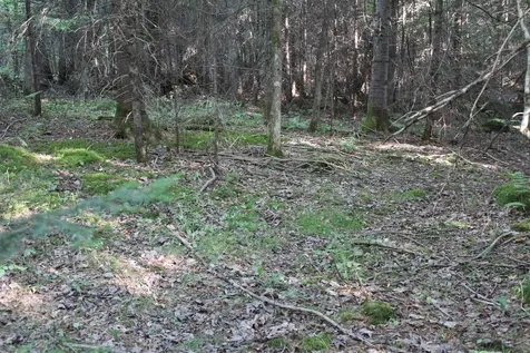 00 Miles Pond Road Concord VT 05824