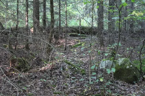 00 Miles Pond Road Concord VT 05824