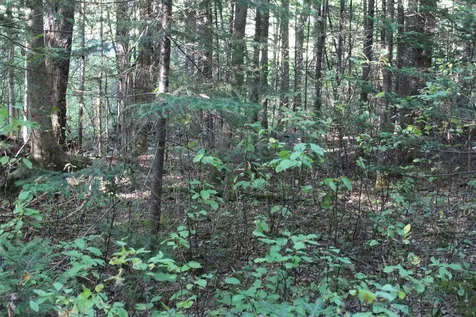 00 Miles Pond Road Concord VT 05824