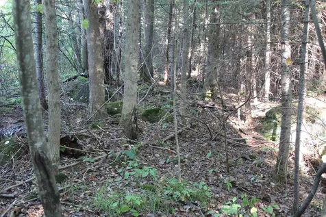 00 Miles Pond Road Concord VT 05824