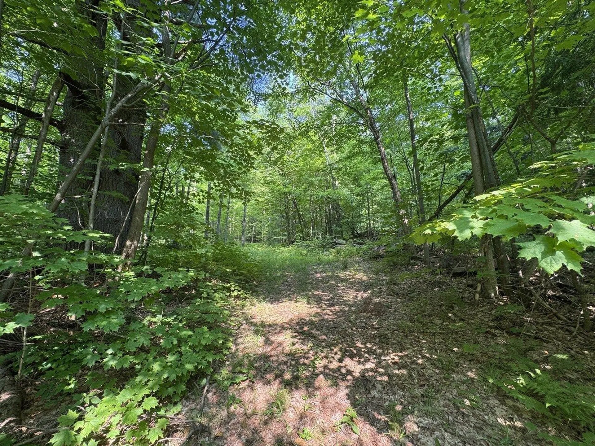320 Shaker Hill Road Starksboro VT 05487