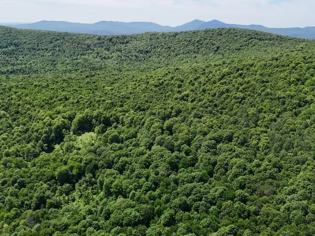 955 Hall Road Lunenburg VT 05906