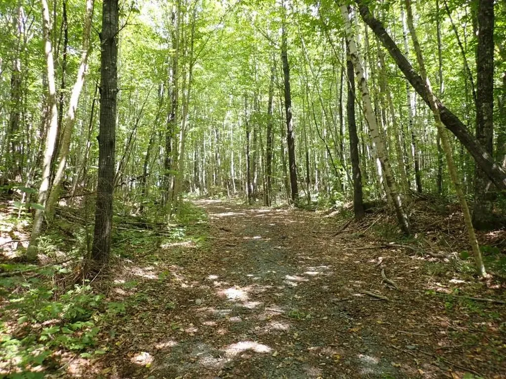 955 Hall Road Lunenburg VT 05906