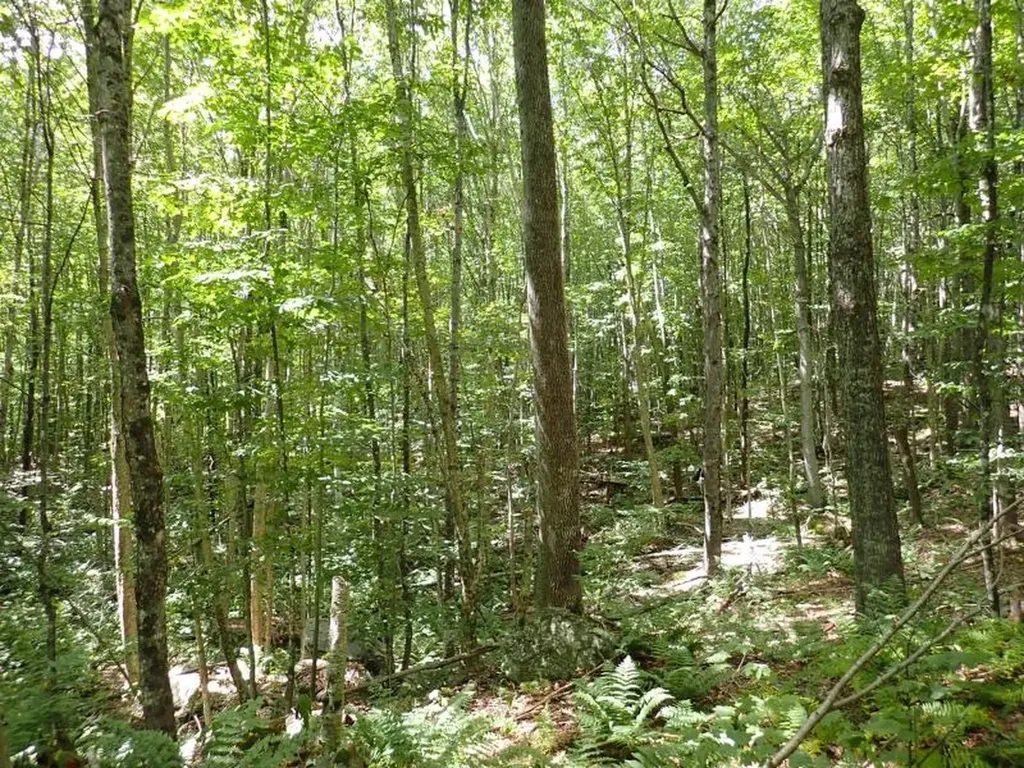 955 Hall Road Lunenburg VT 05906