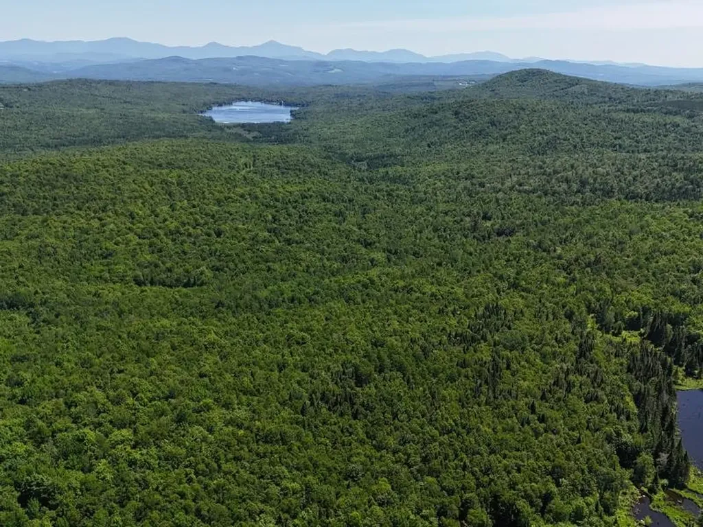 955 Hall Road Lunenburg VT 05906