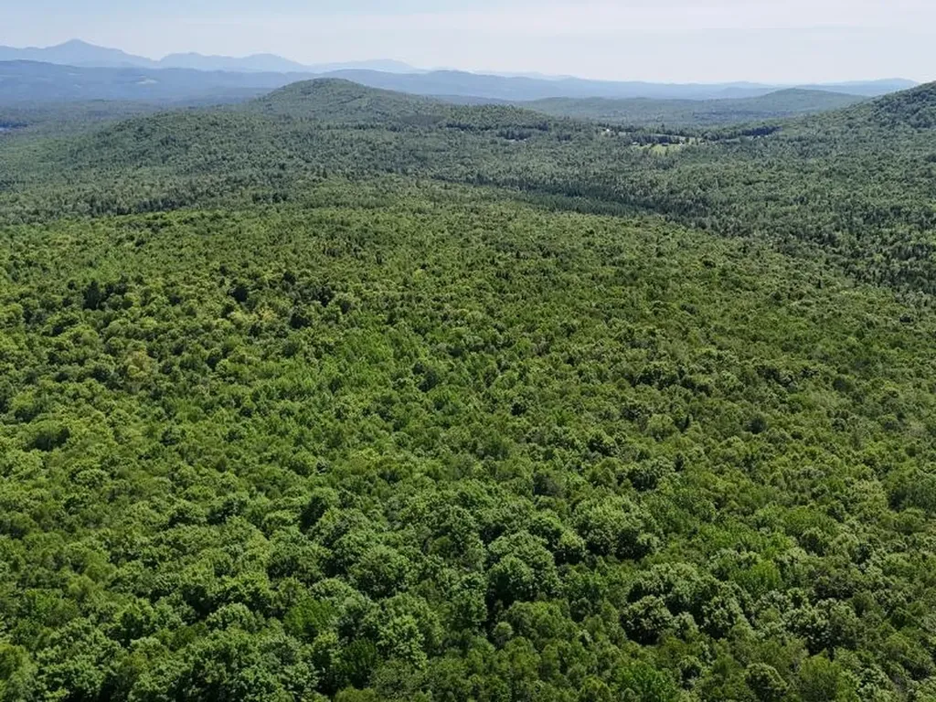 955 Hall Road Lunenburg VT 05906