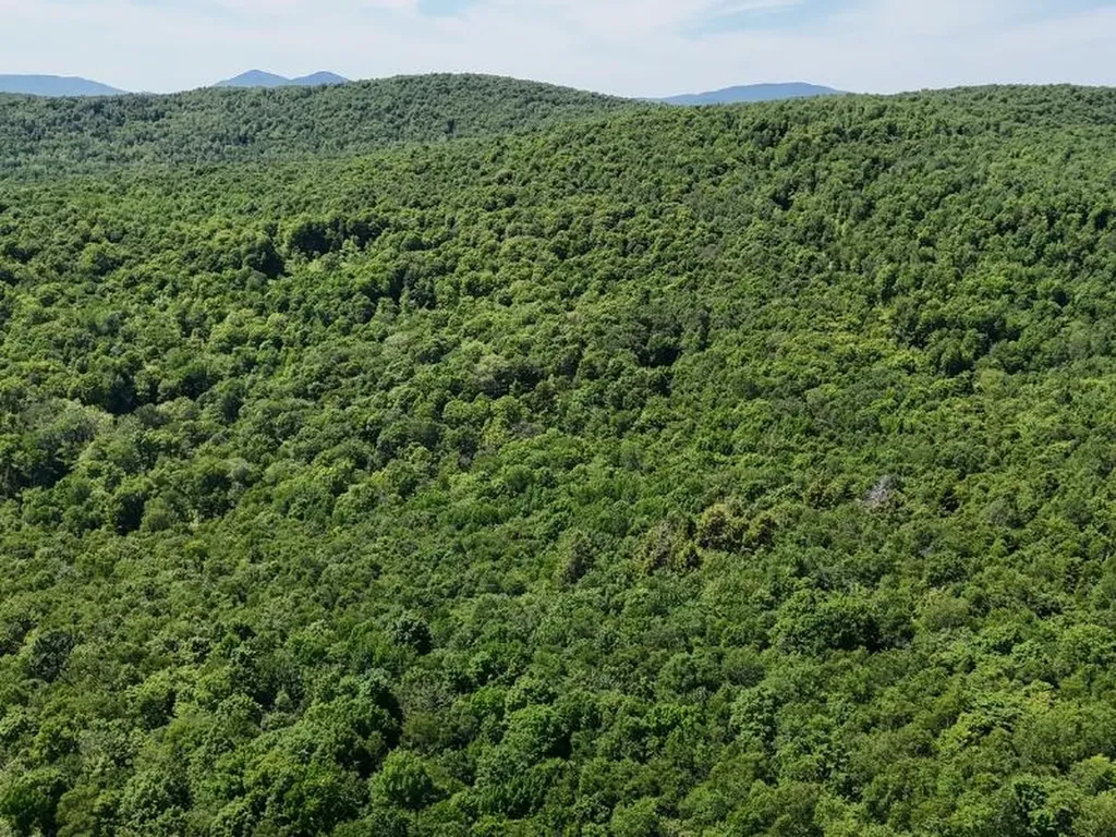 955 Hall Road Lunenburg VT 05906