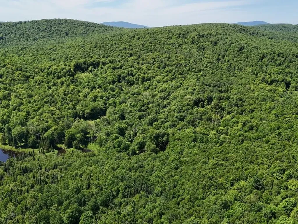 955 Hall Road Lunenburg VT 05906