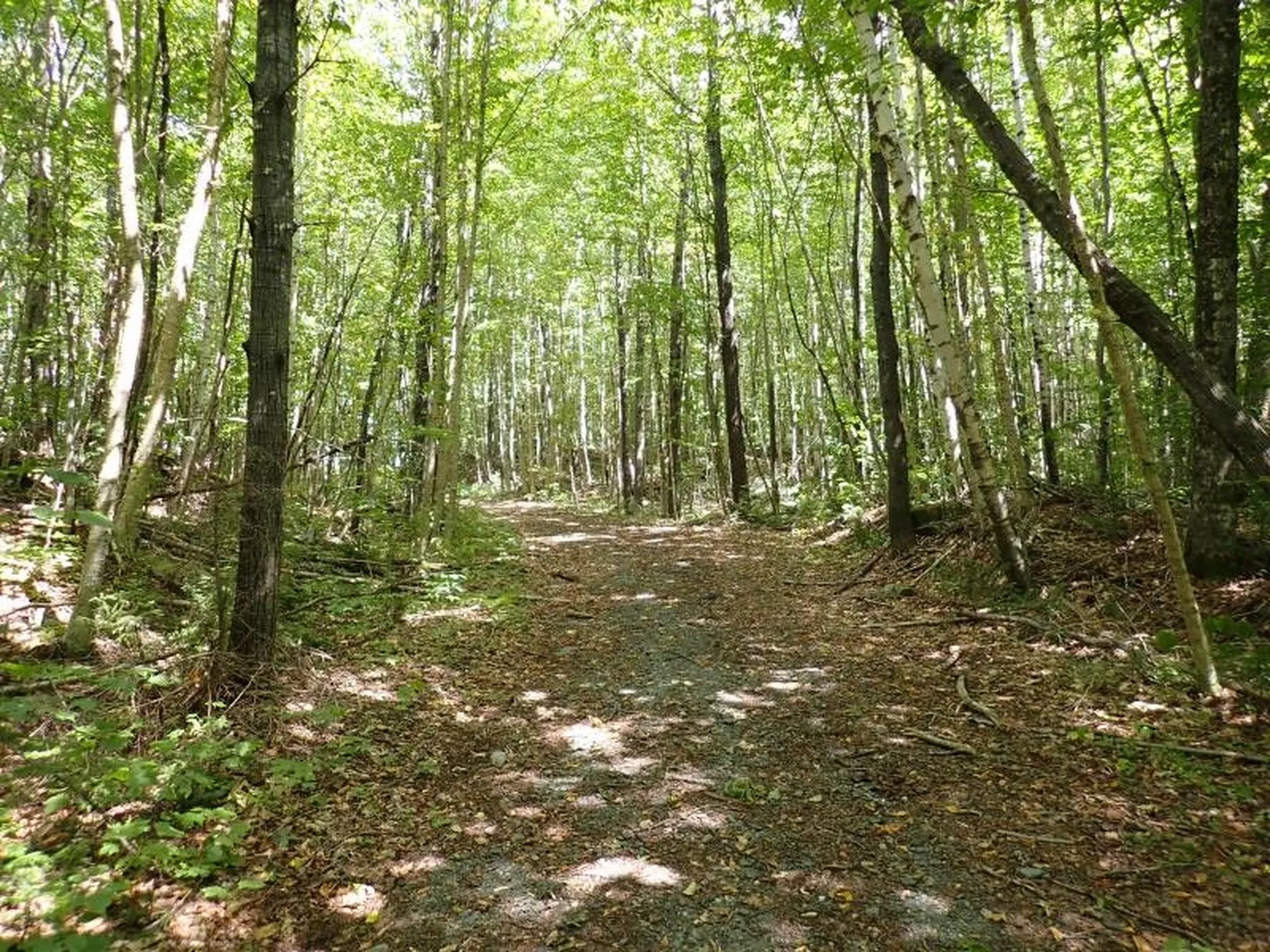 955 Hall Road Lunenburg VT 05906