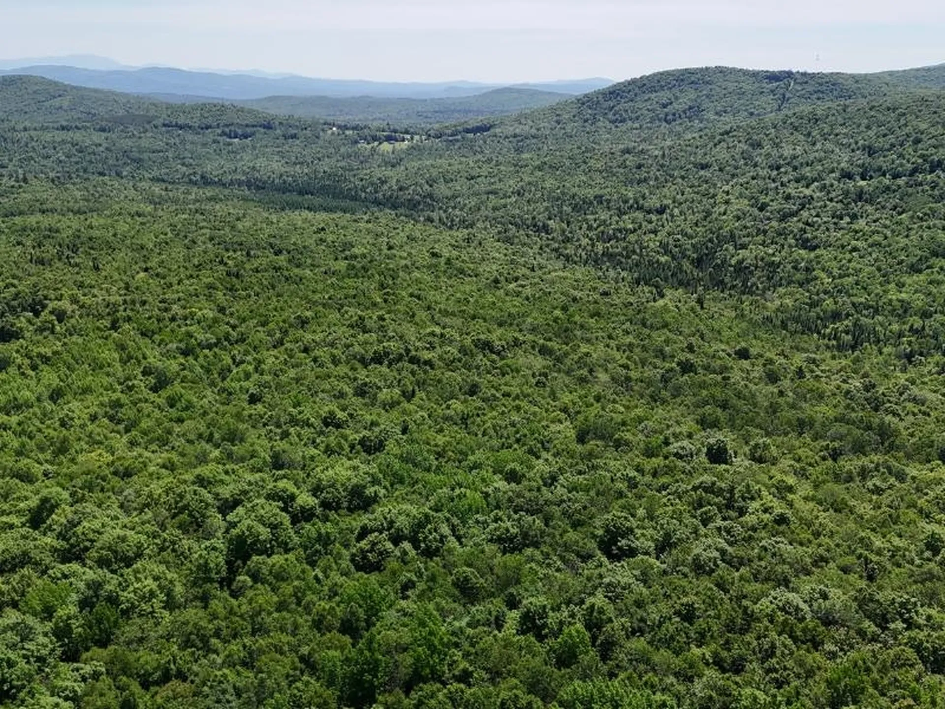 955 Hall Road Lunenburg VT 05906