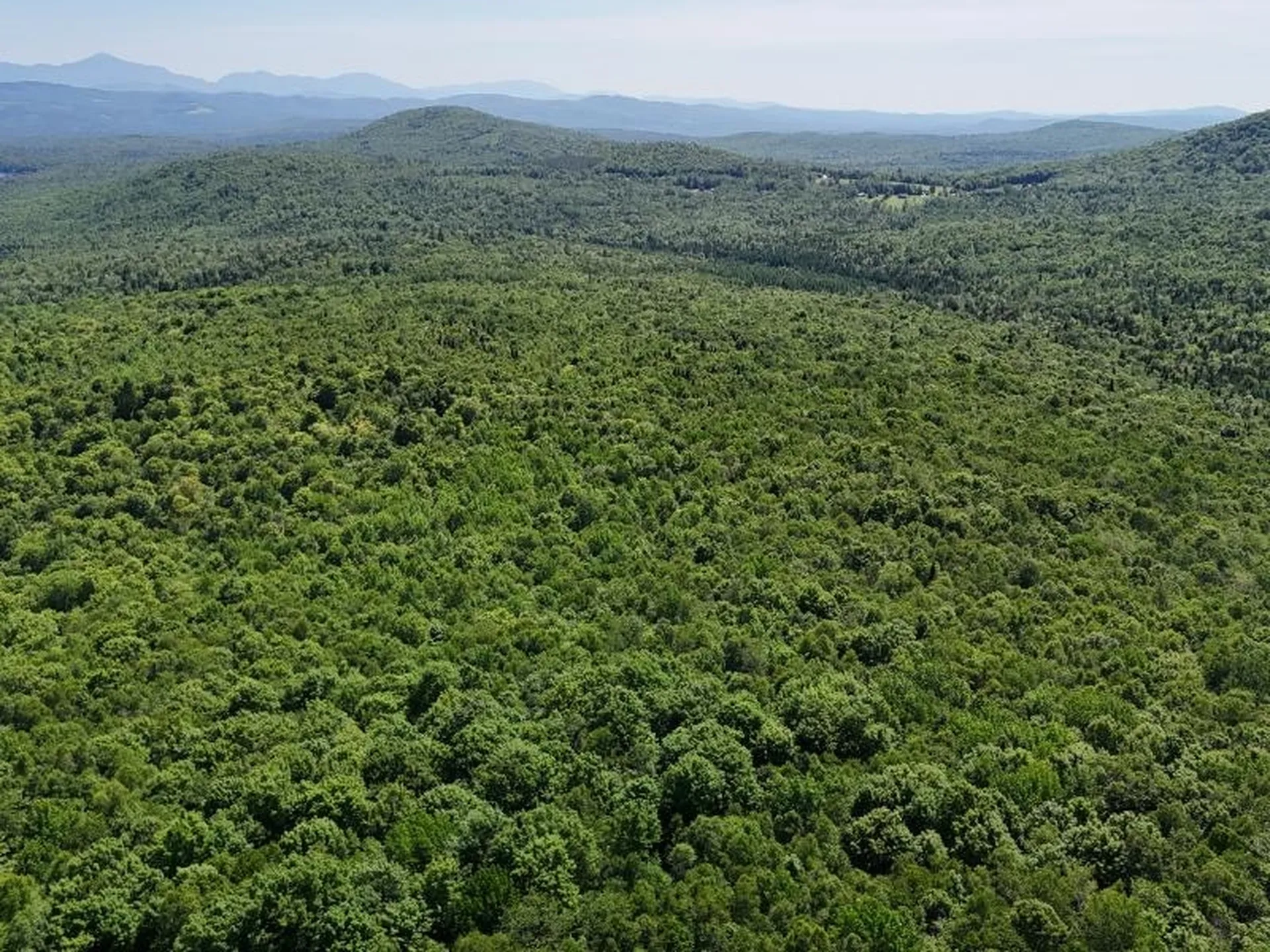 955 Hall Road Lunenburg VT 05906