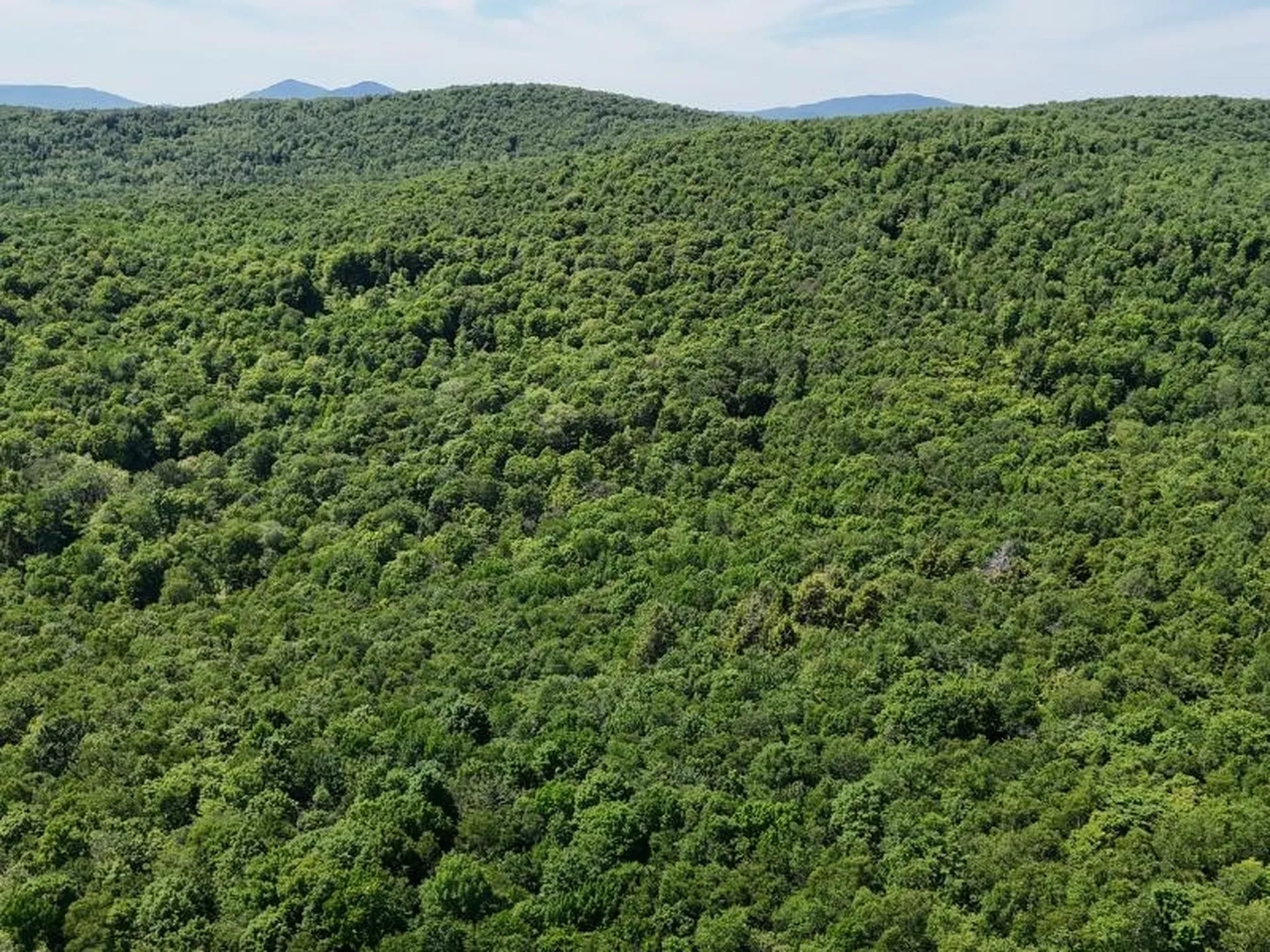 955 Hall Road Lunenburg VT 05906