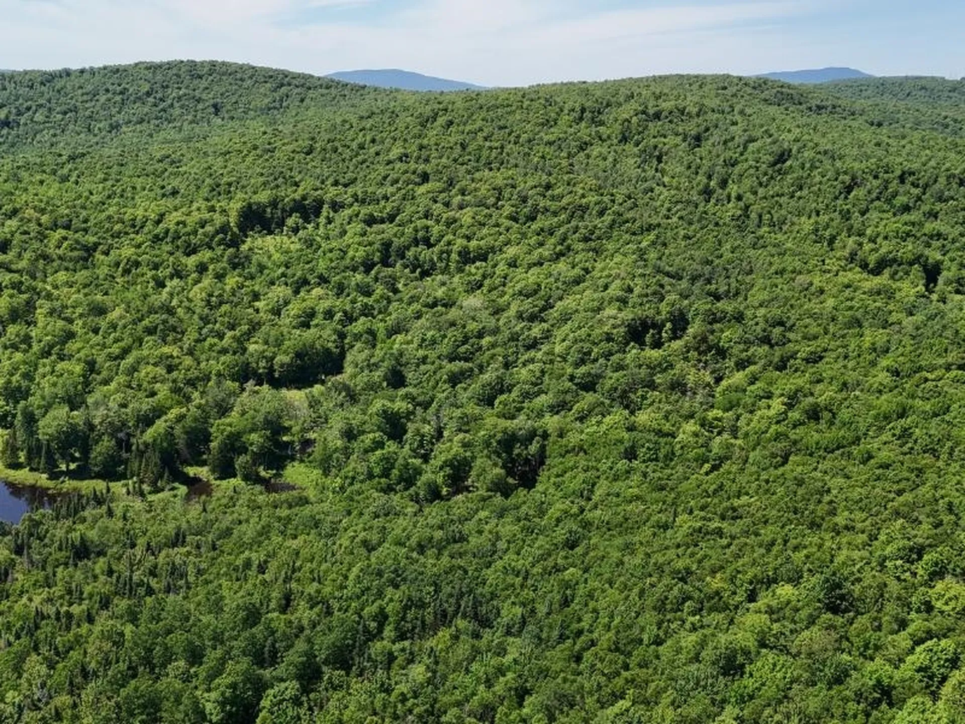 955 Hall Road Lunenburg VT 05906