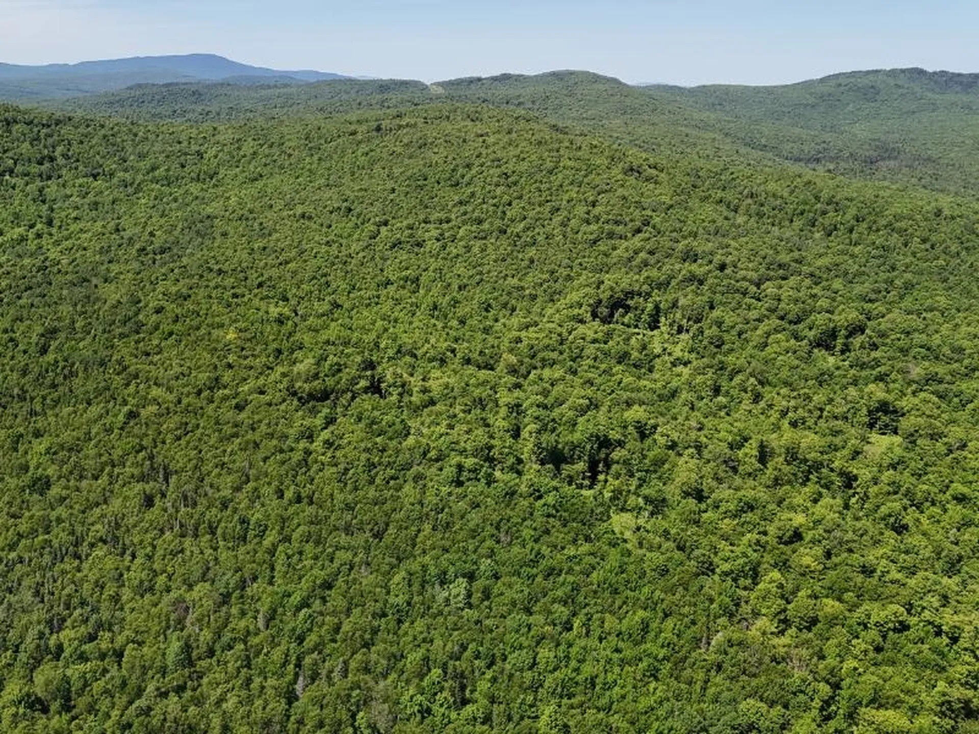 955 Hall Road Lunenburg VT 05906