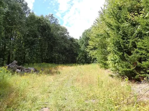 955 Hall Road Lunenburg VT 05906