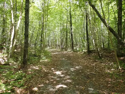 955 Hall Road Lunenburg VT 05906