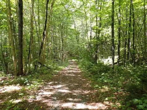 955 Hall Road Lunenburg VT 05906