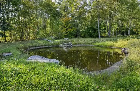 1573 Flamstead Road Chester VT 05143