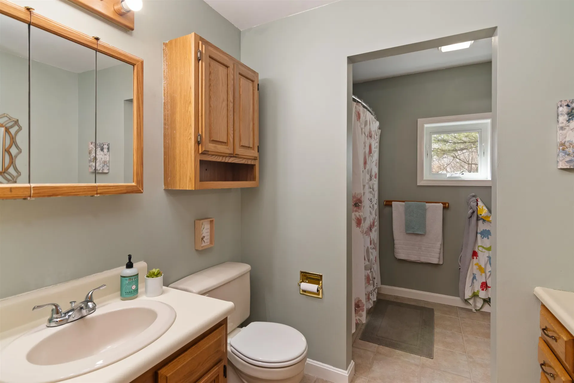 22 Chelsea Circle South Burlington VT 05403-7260