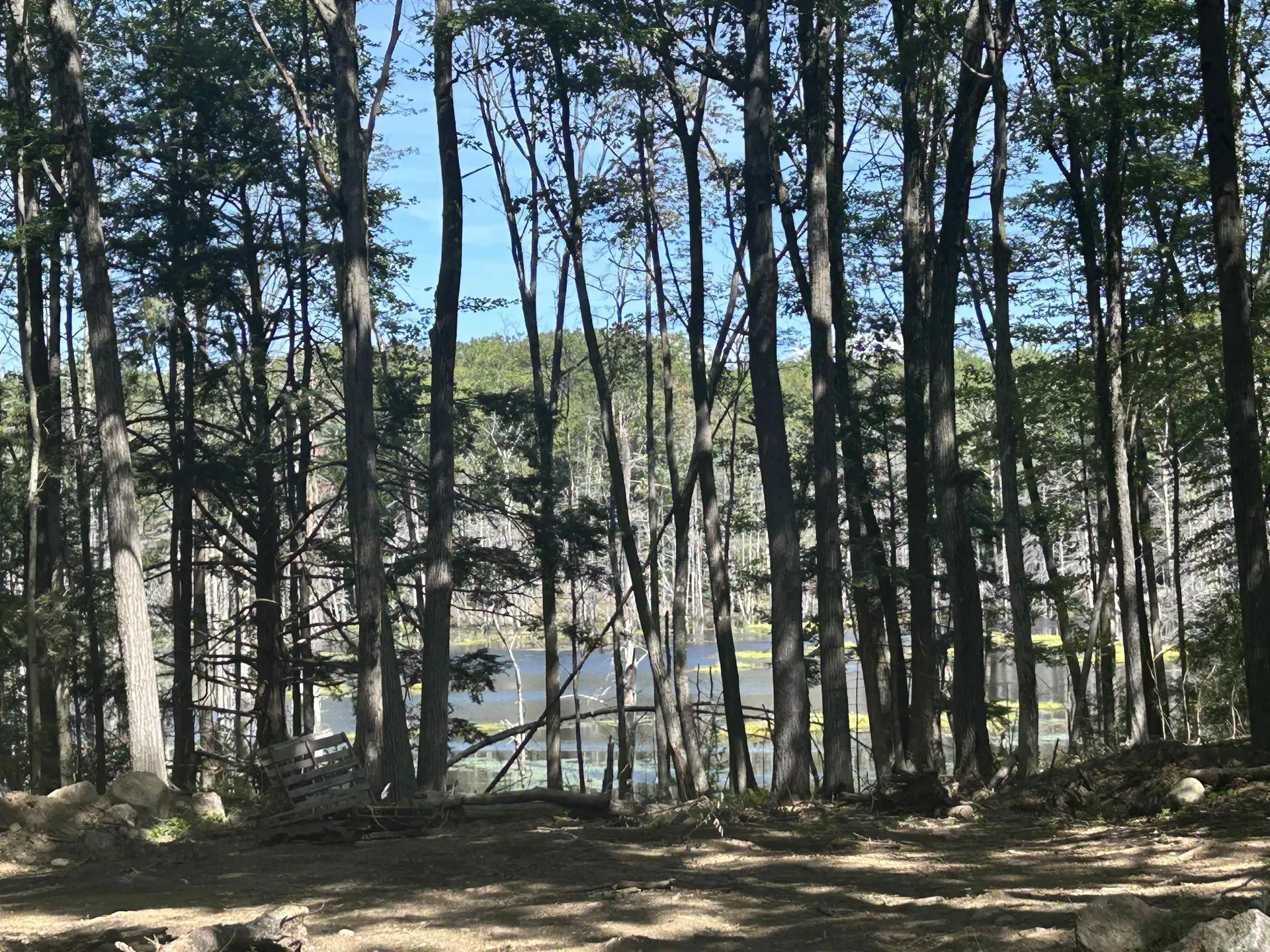 77 Mackey Road Troy NH 03465