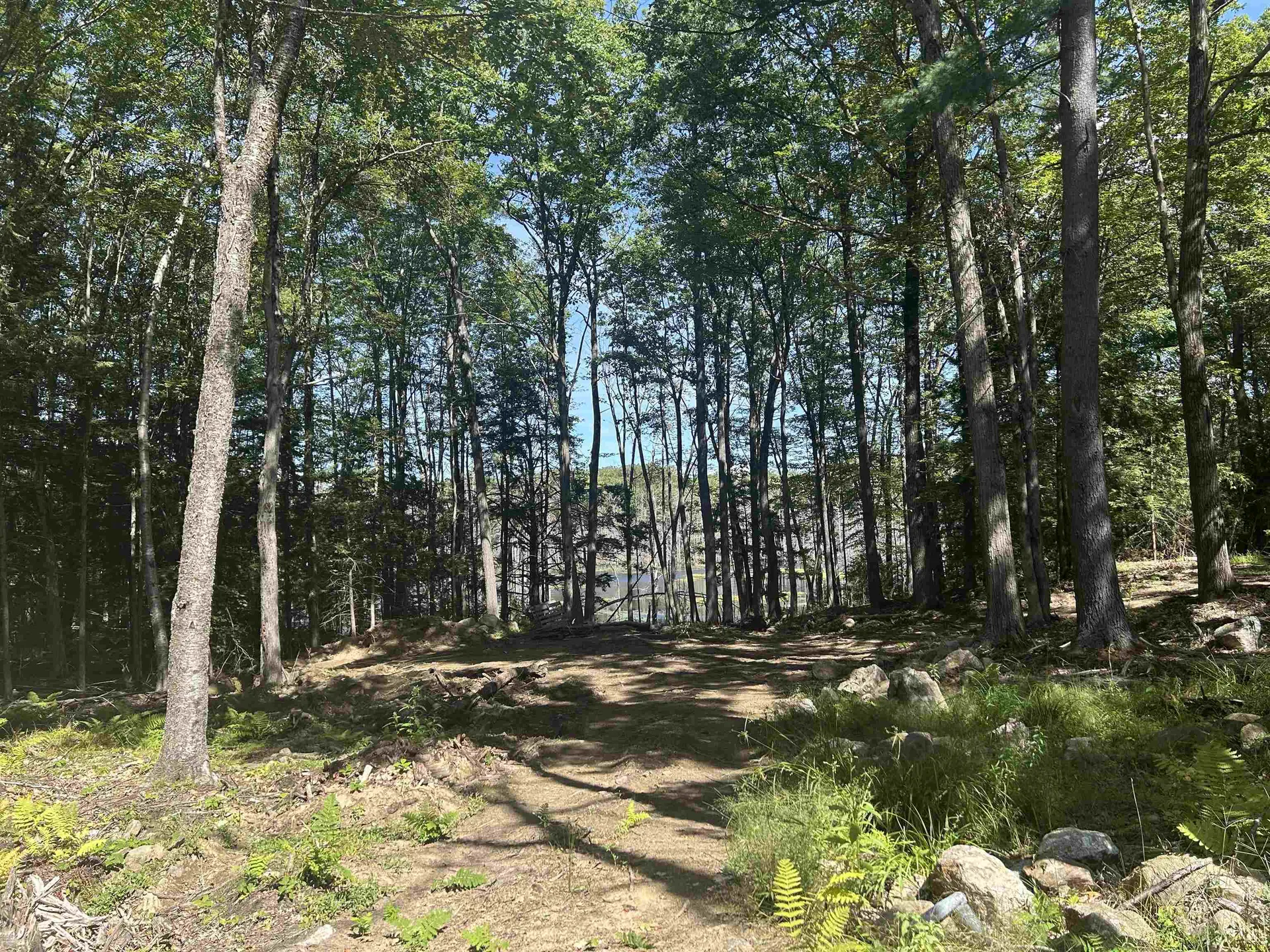 77 Mackey Road Troy NH 03465