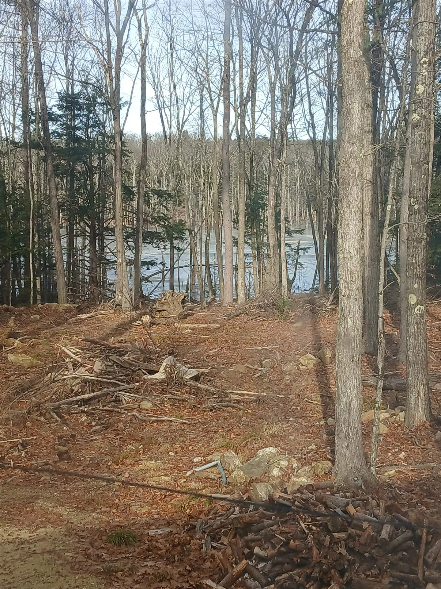 77 Mackey Road Troy NH 03465