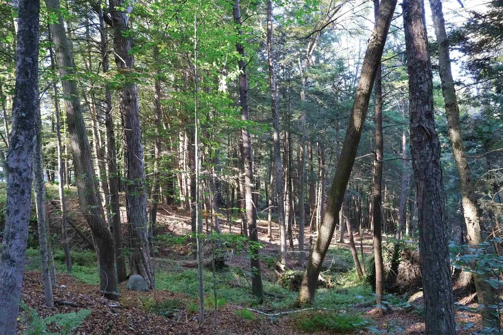 0 Woodlawn Drive Hartford VT 05001