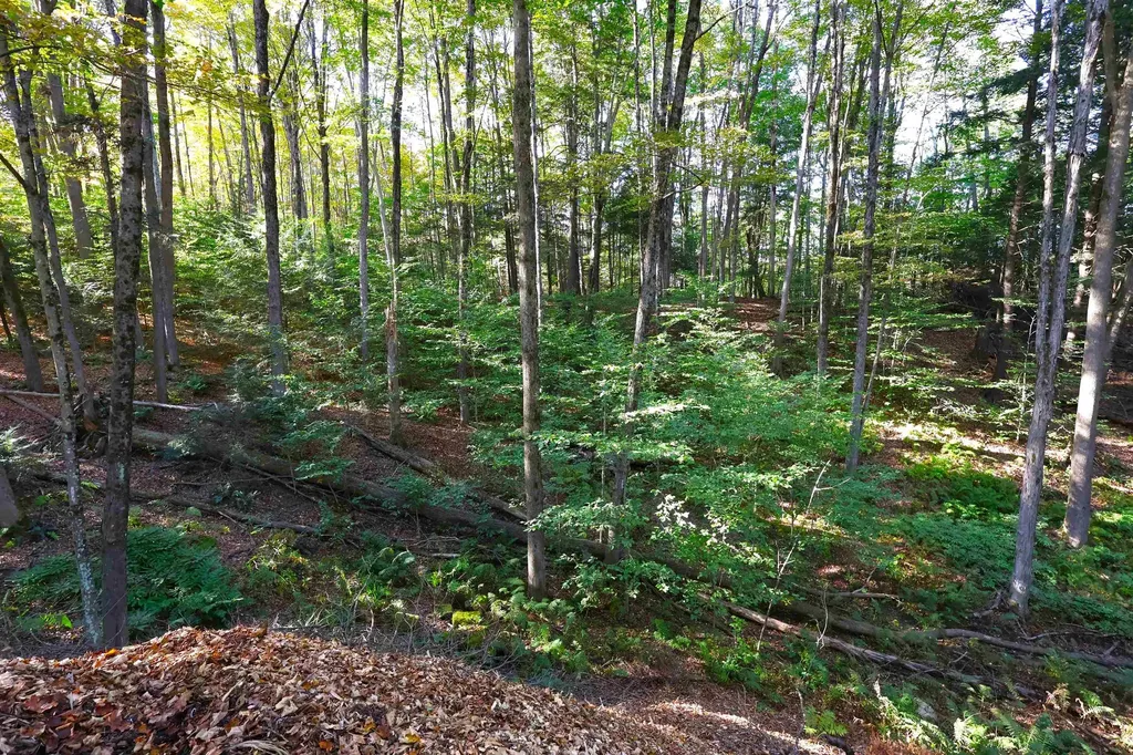 0 Woodlawn Drive Hartford VT 05001