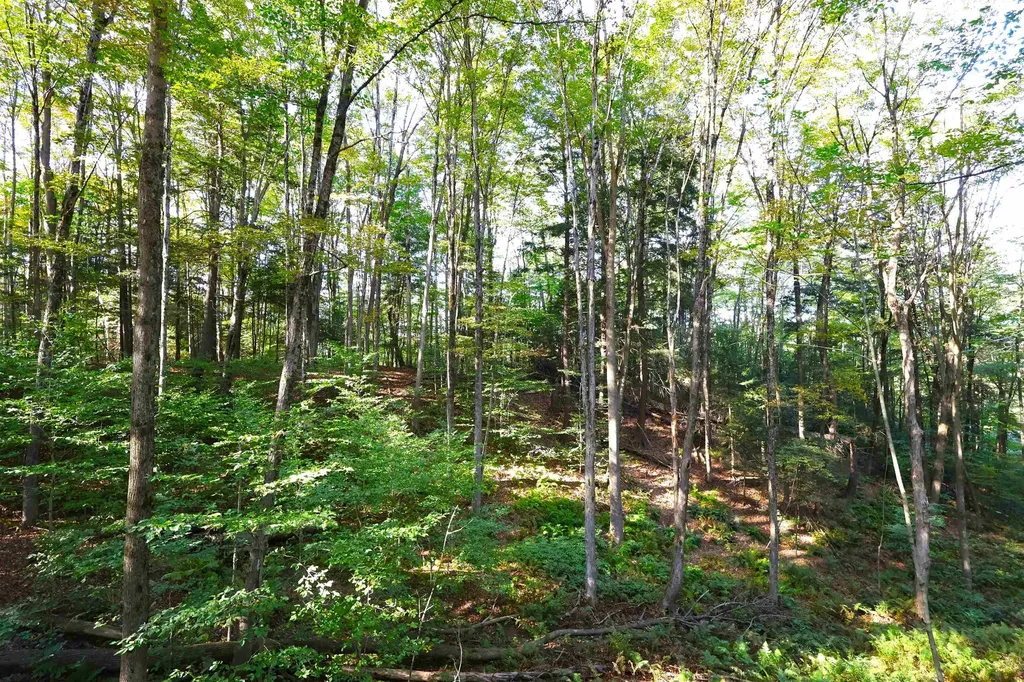 0 Woodlawn Drive Hartford VT 05001