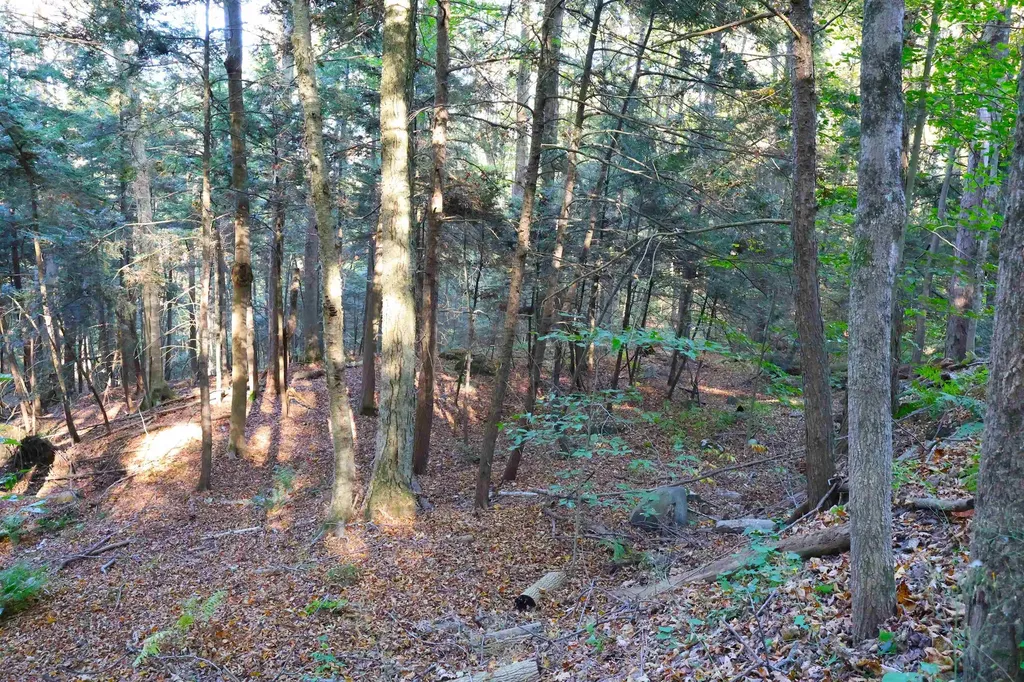 0 Woodlawn Drive Hartford VT 05001