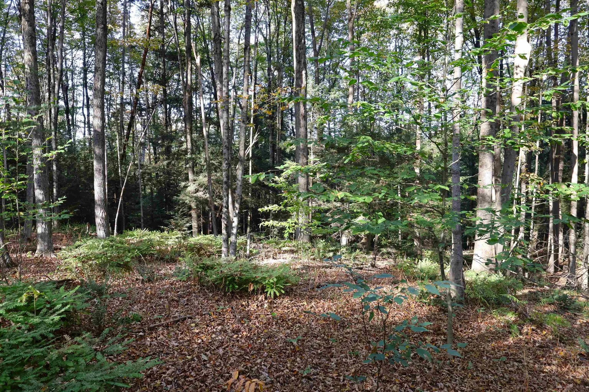 0 Woodlawn Drive Hartford VT 05001