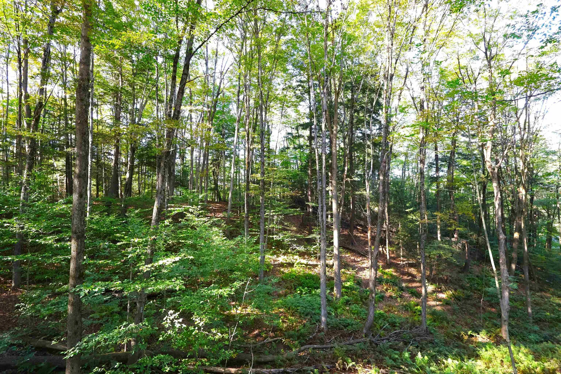 0 Woodlawn Drive Hartford VT 05001