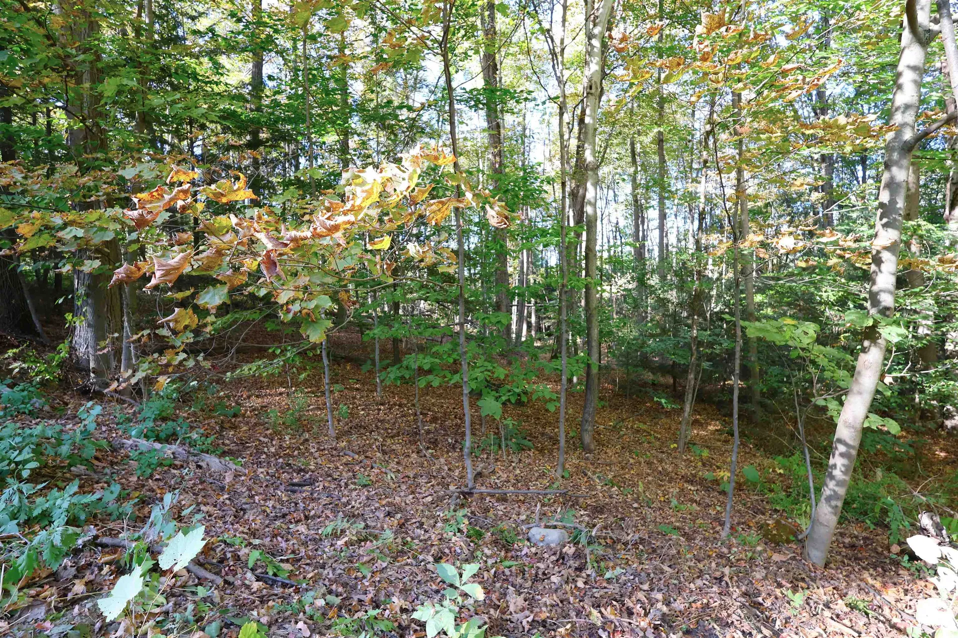 0 Woodlawn Drive Hartford VT 05001