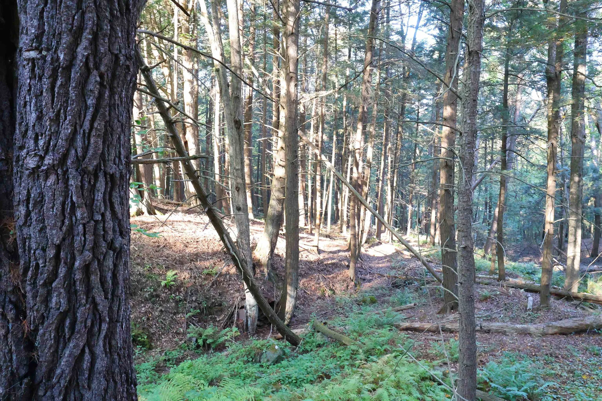 0 Woodlawn Drive Hartford VT 05001