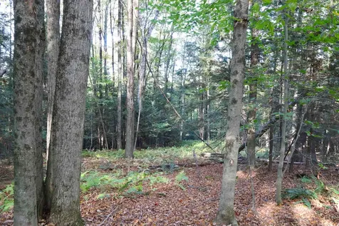 0 Woodlawn Drive Hartford VT 05001