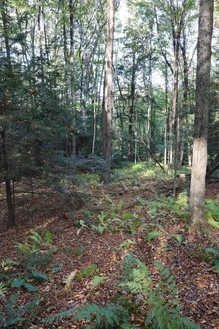 0 Woodlawn Drive Hartford VT 05001