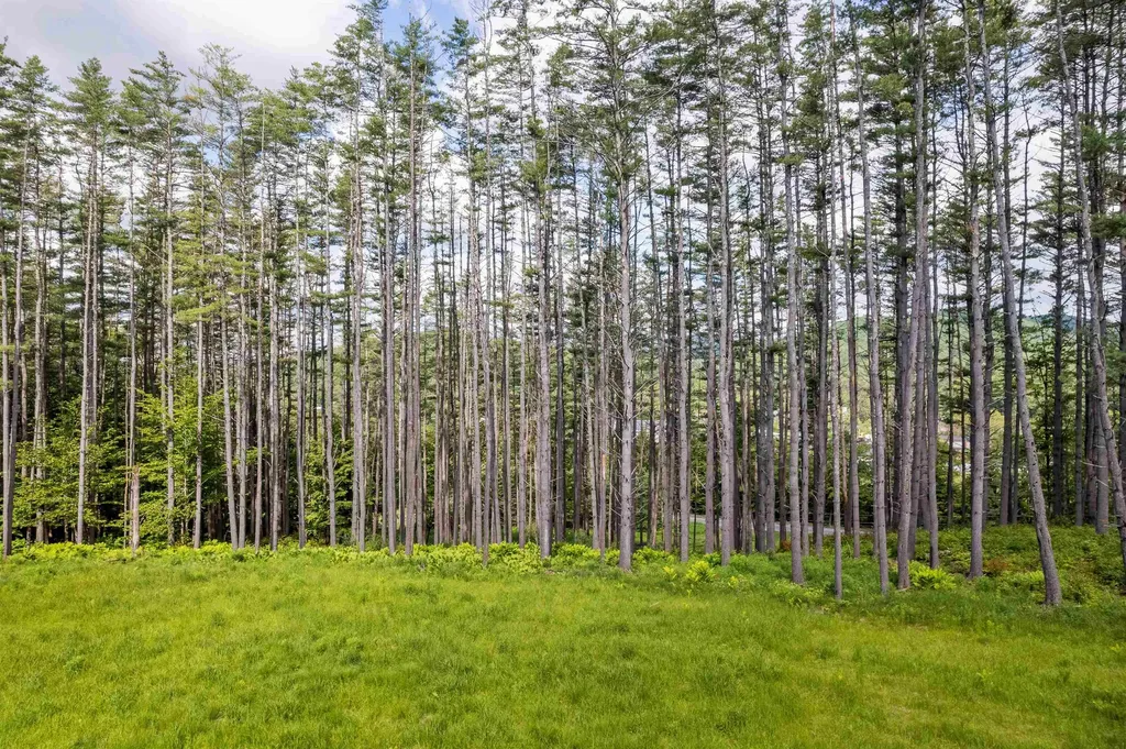 1 Carlton Hill Road Woodstock VT 05091