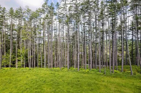 1 Carlton Hill Road Woodstock VT 05091