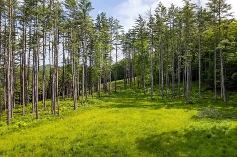 1 Carlton Hill Road Woodstock VT 05091