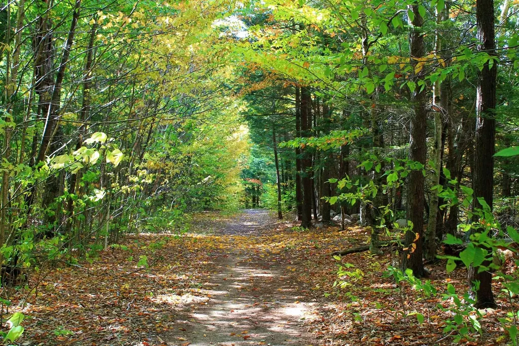 254 South Peak Road Lincoln NH 03251