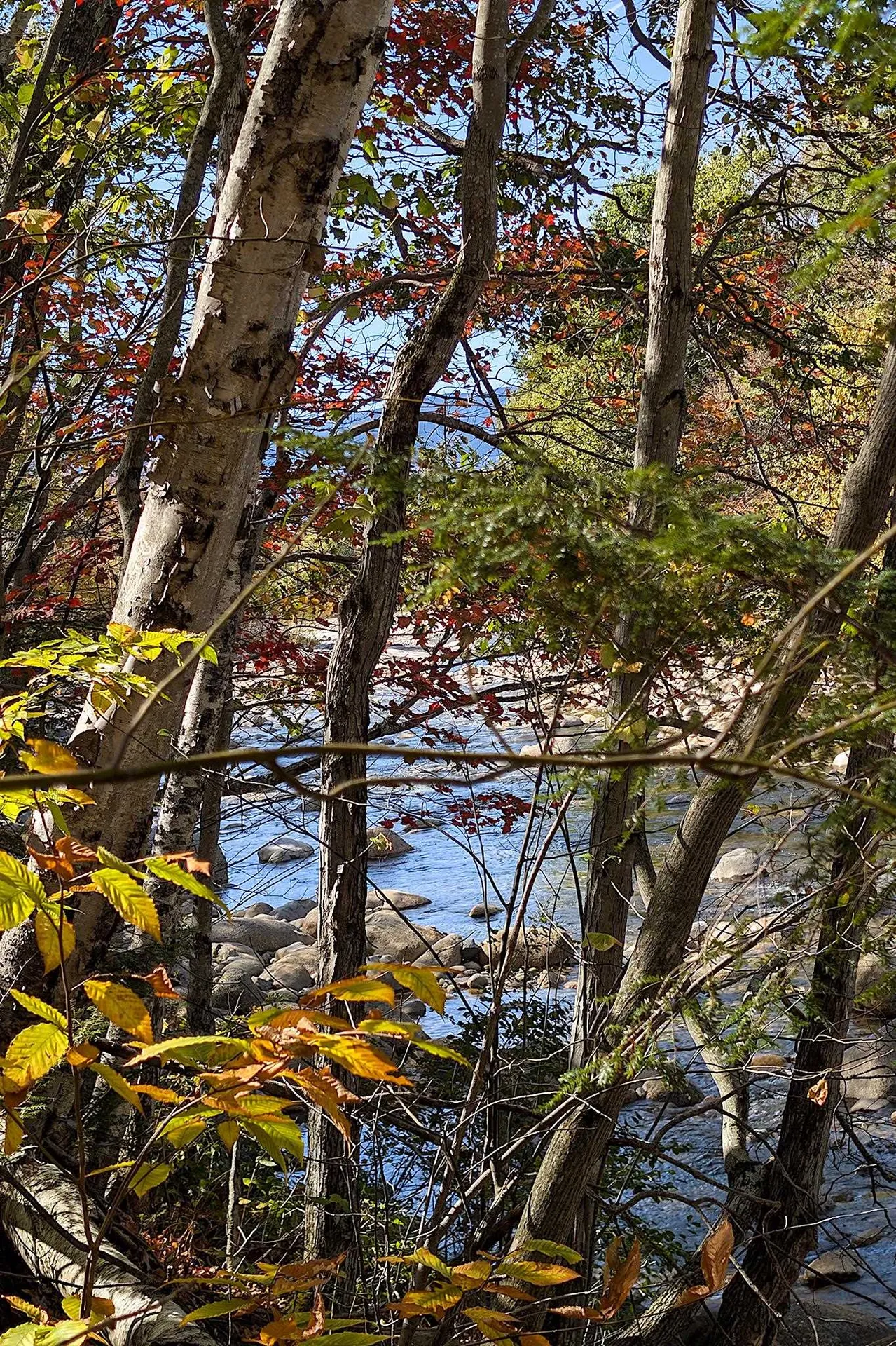 254 South Peak Road Lincoln NH 03251