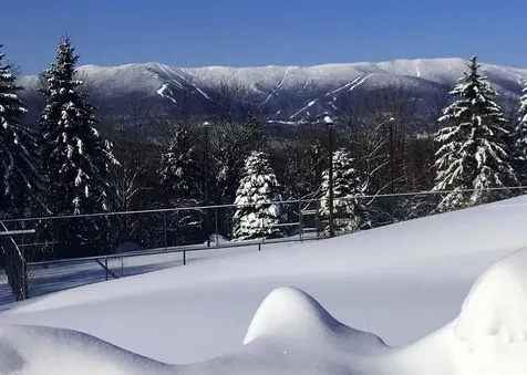 458 Cider Mountain Road Warren VT 05674